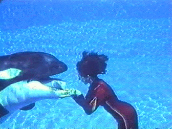 Animal Cunning - Grainger TV