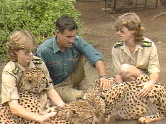 Guardians of the Wild - Grainger TV