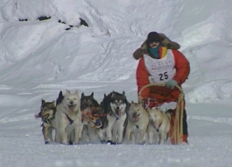 Alaska Alive ! - Grainger TV