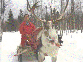 Arctic Wonderland - Grainger TV