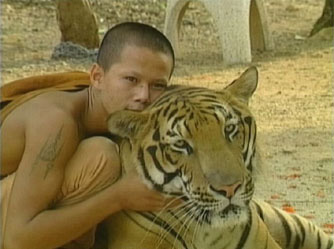 The Beast Within - Living with Wild Animals - Grainger TV