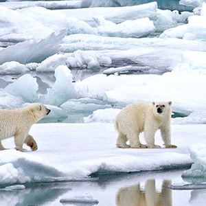 Nature On Ice - Grainger TV