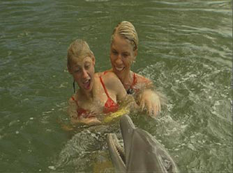 Miracles from the Wildside - Grainger TV