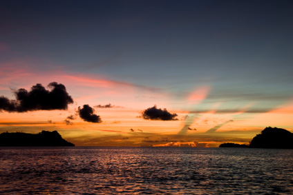 Search for the Shark Callers - Grainger TV