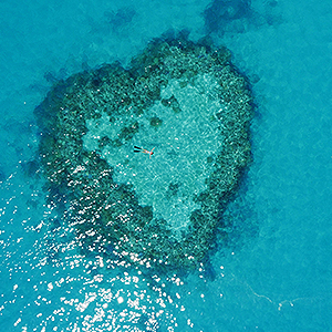 7 Network Double Screening: Travel OZ
- Grainger TV