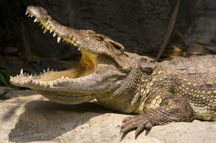 Australia's Deadliest Destinations - Grainger TV