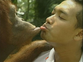 Working with Wild Animals - Grainger TV