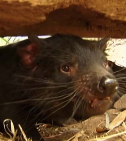 Episode 02 - Grainger TV