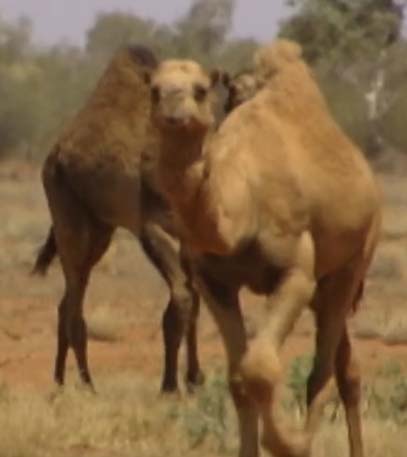 Episode 03 - Grainger TV