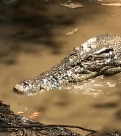 Episode 04 - Grainger TV