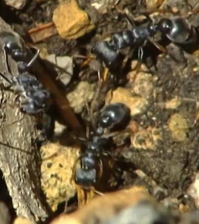 Episode 06 - Grainger TV