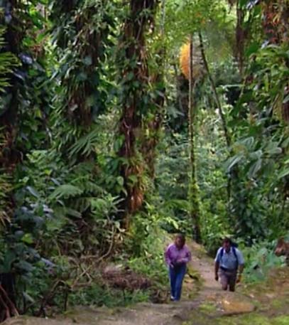 Along The Andes - Grainger TV