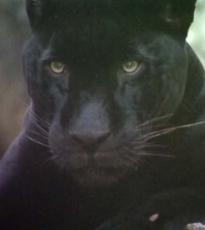 Mexico: Maya to Mariachis - Grainger TV