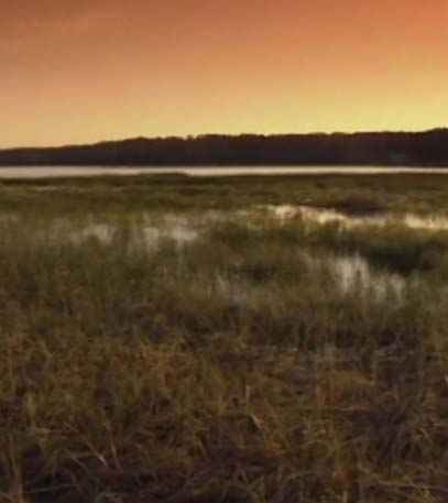 Russia Revisited - Grainger TV