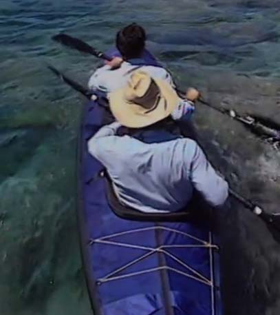 Search For The Shark Callers - Grainger TV