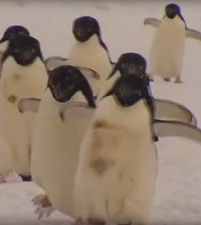 Travel Oz - Series 02 - Grainger TV